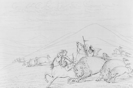 Indians killing buffaloes LCCN2002698301 (cropped)