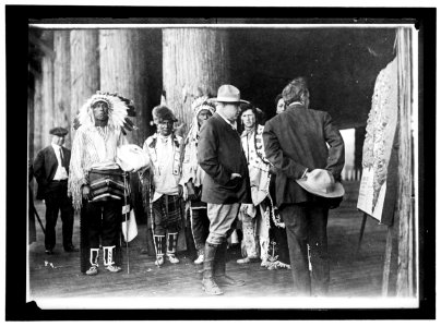 INDIANS, AMERICAN. SEC. LANE AND INDIANS LCCN2016867147