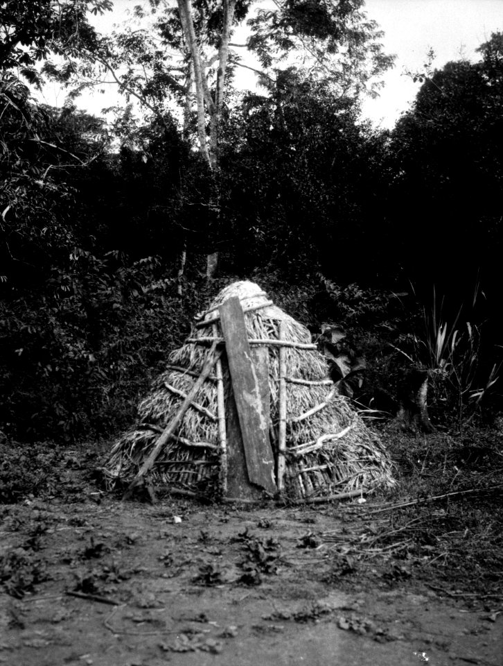 Indianska hönshus. Rio Sambú, Darién, Panamá. Etnisk grupp, Emperá-Chocó. Rio Sambu. Panama - SMVK - 003969