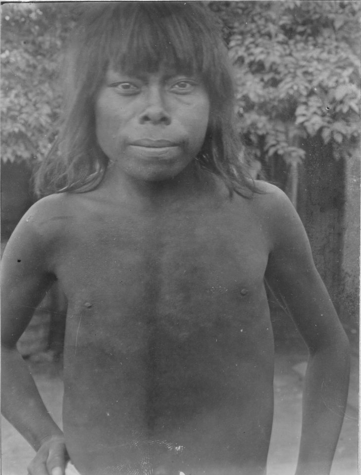 Indiantyp, en face. Esperanza sockerfabrik, norra Argentina. Sydamerika - SMVK - 004863