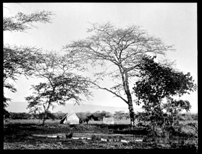 Inconconi camp, Ubombo Wellcome L0022673