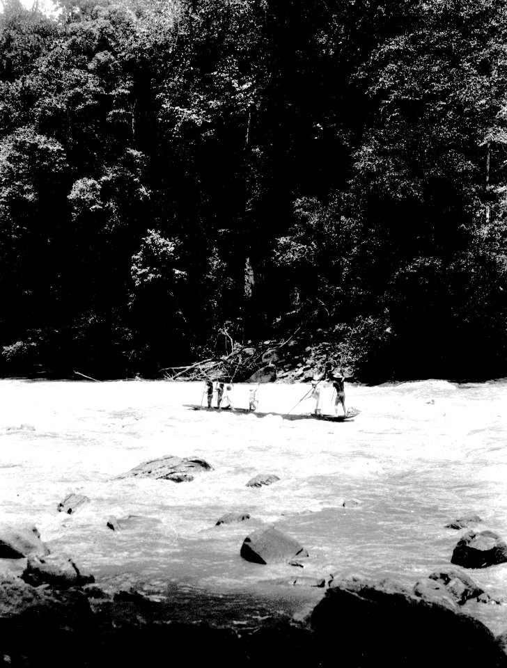 Indianynglingar utför en fors i Baudófloden på flotte. Rio Baudó. Colombia - SMVK - 004023