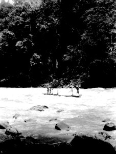 Indianynglingar utför en fors i Baudófloden på flotte. Rio Baudó. Colombia - SMVK - 004023