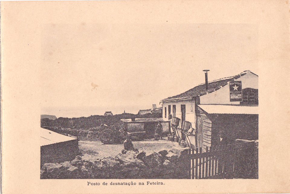 Indústria de Lacticios da ilha Terceira, 10, Arquivo de Villa Maria, Angra do Heroísmo, ilha Terceira, Açores