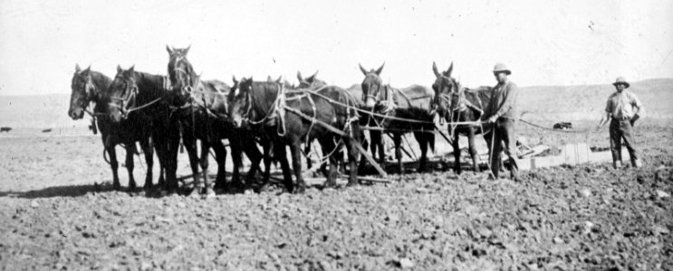 Indian farming LCCN2016821252 (cropped) photo