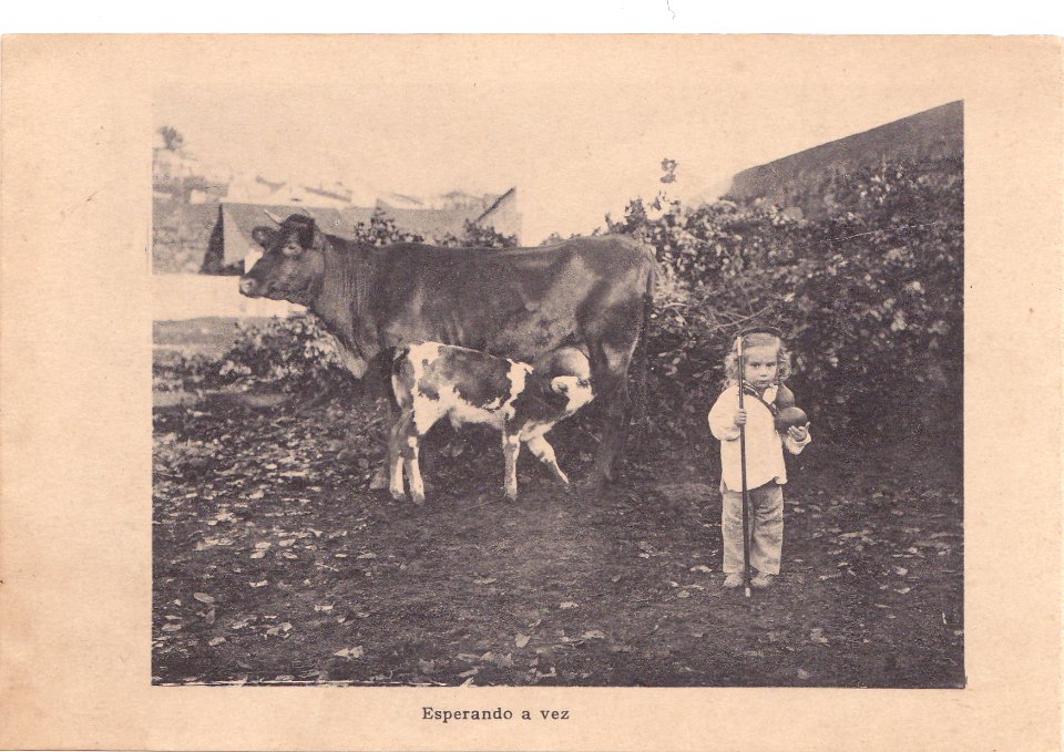 Indústria de Lacticios da ilha Terceira, 9, Arquivo de Villa Maria, Angra do Heroísmo, ilha Terceira, Açores
