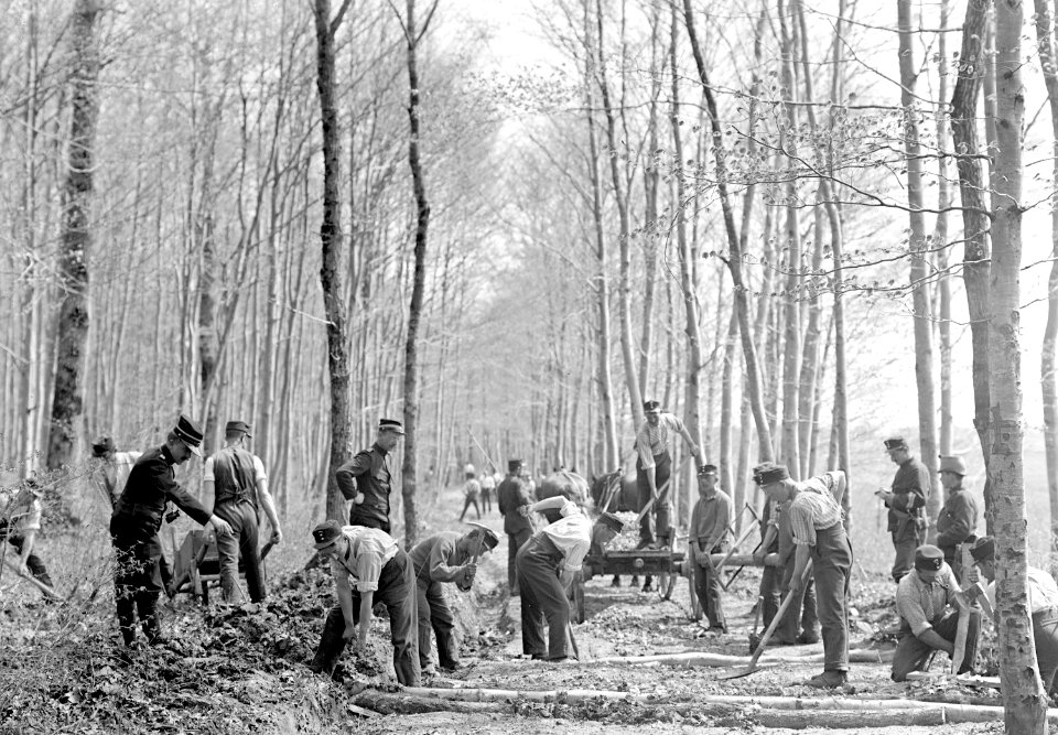 Infanterie bei Verbesserung von Waldwegen - CH-BAR - 3238484