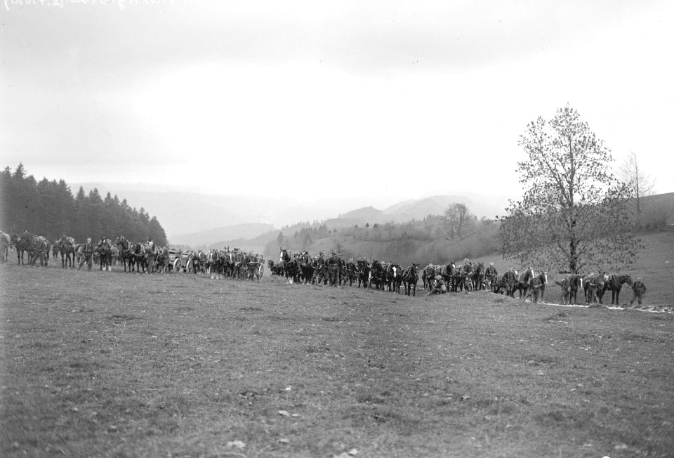 Infanterie Mitrailleure in Sammelstellung - CH-BAR - 3239196