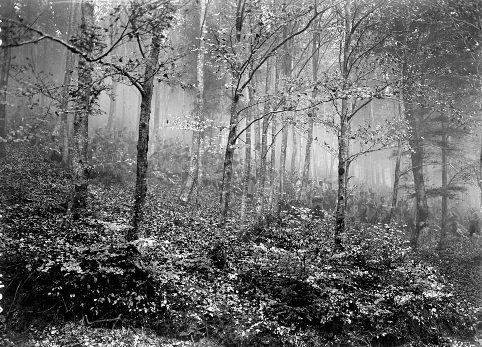 Infanterie beim Morgengrauen im Wald - CH-BAR - 3239096