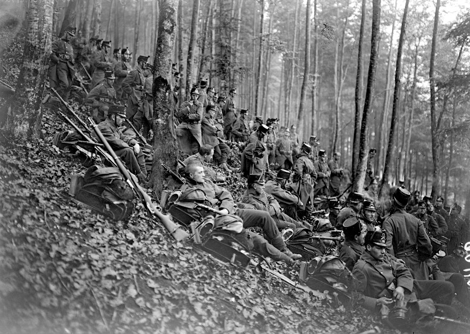 Infanterie wartet im Wald auf ihren Einsatz - CH-BAR - 3239095