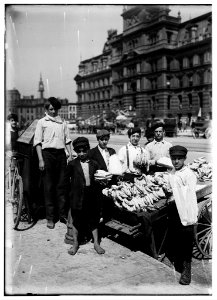 Indianapolis Fruit Venders, Italian Boys, Aug., 1908. Wit., E. N. Clopper. LOC nclc.05357