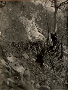 Infanteriestellung am Javorcek gegen den Slatnikgraben, aufgenommen am 21. April 1916 (BildID 15473556)