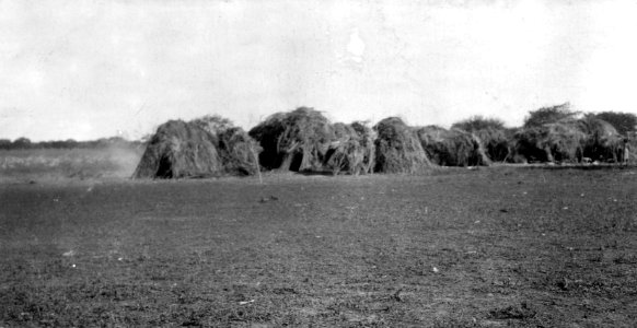 Indianby. Gran Chaco, Rio Pilcomayo. Bolivia - SMVK - 004730