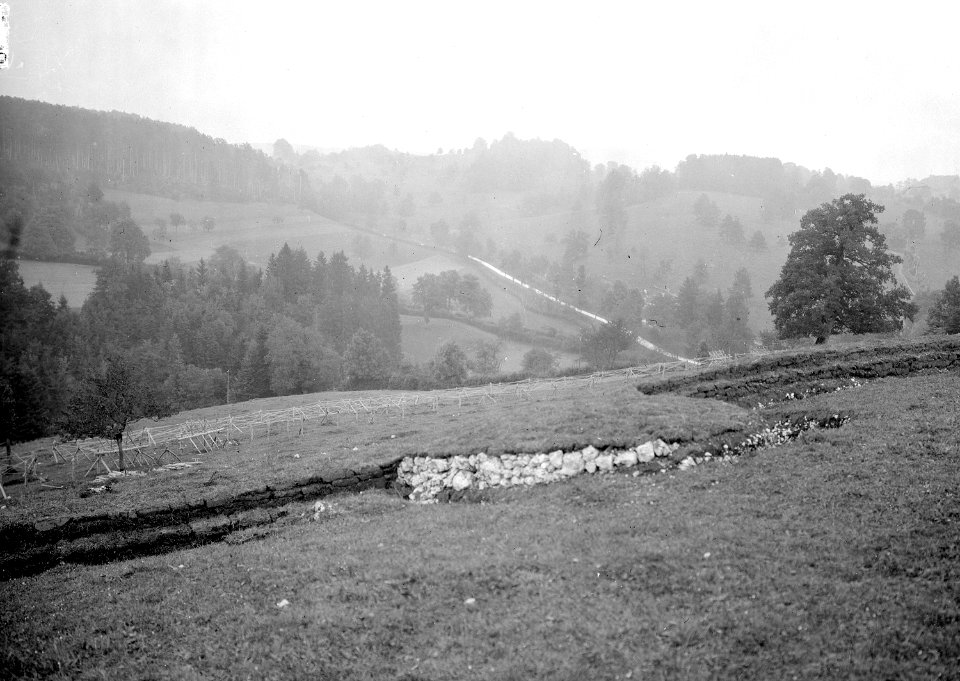 Infanteriestellung bei Lützel - CH-BAR - 3237446