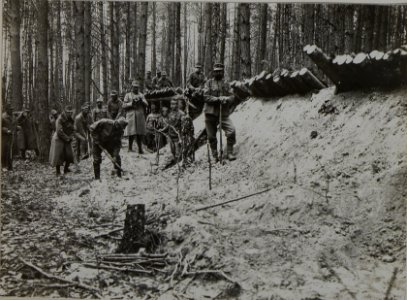Infanterieregiment 8 beim Bau von Reserveunterständen (Moszcenica) 21.10.1915 (BildID 15455583)