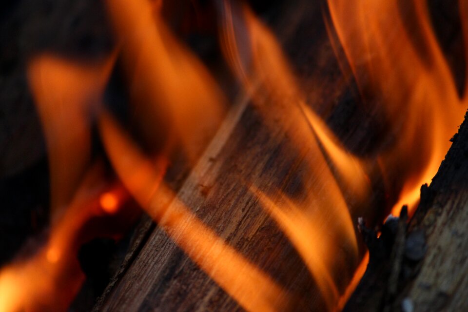 Firewood fever bonfire