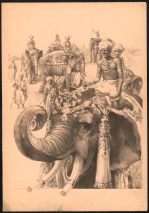 Indians riding elephants LCCN2018647145