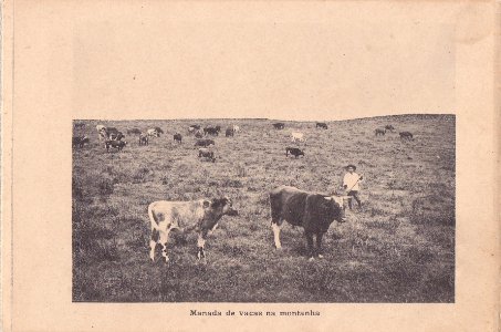 Indústria de Lacticios da ilha Terceira, 6, Arquivo de Villa Maria, Angra do Heroísmo, ilha Terceira, Açores