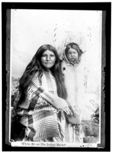 INDIANS, AMERICAN. WHITE RIVER UTE SQUAW LCCN2016867138 photo