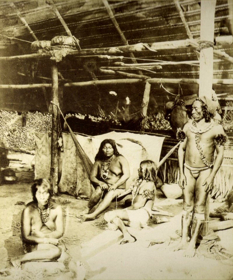 Indios amazonas 1865 00