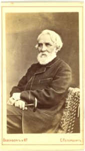 Ivan Sergeevich Turgenev, three-quarter length portrait, seated, facing left LCCN99615546