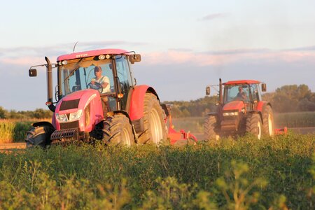 Agriculture field rural photo