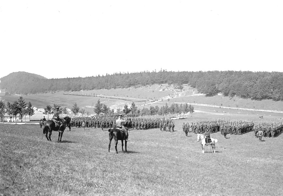 Infanterie Brigade 1 stellt sich auf - CH-BAR - 3239996