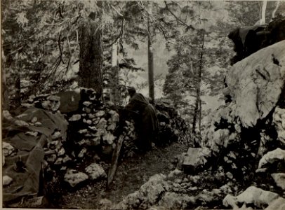 Infanterie Stellung am Mittleren VRSIC. Aufgenommen am 4. Juni 1916. (BildID 15478871)