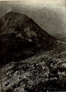 Infanterie Stellung von der Turmstellung zum Sattel. Mitte Javorcek, Hintergrund Confinkette und Rombon. (BildID 15462889)