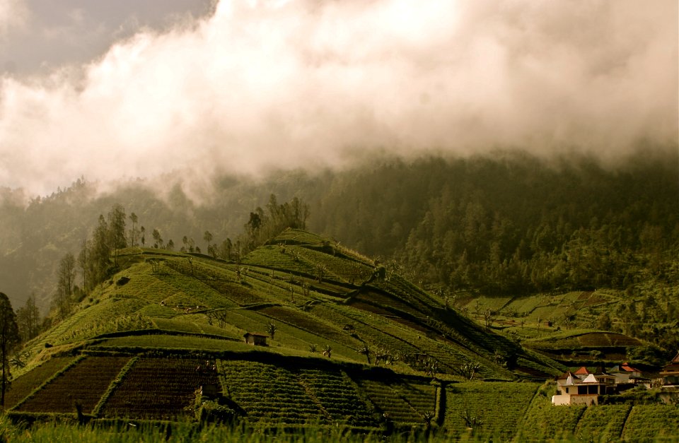 Indonesia - Peace Corps (11652437524)
