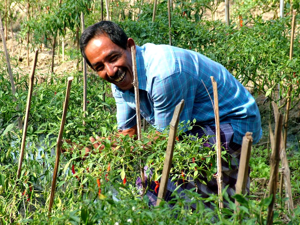 Indonesian farmer (4843328698)