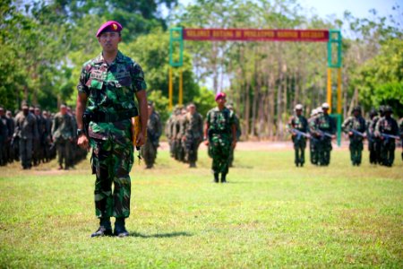 Indonesian marines and U.S. Marines and Sailors assigned to the 11th Marine Expeditionary Unit stand in formation at a training facility in Baluran, Indonesia