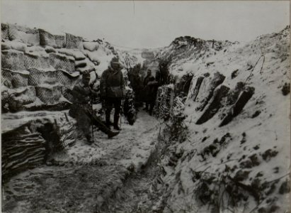 Infanterieregiment 40 in Stellung (BildID 15456066)
