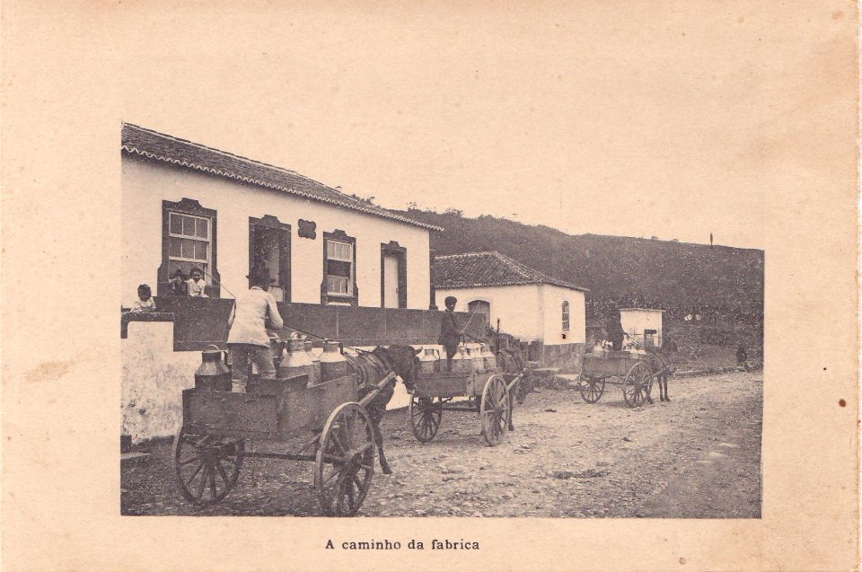 Indústria de Lacticios da ilha Terceira, 11, Arquivo de Villa Maria, Angra do Heroísmo, ilha Terceira, Açores