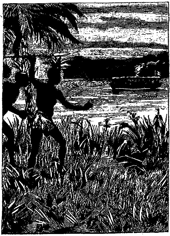 Ivoi - Les grands explorateurs. La Mission Marchand (page 153 crop)