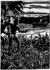 Ivoi - Les grands explorateurs. La Mission Marchand (page 153 crop)
