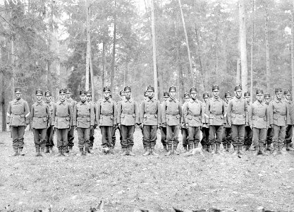 Infanteristen in Zweierreihe aufgestellt - CH-BAR - 3238514