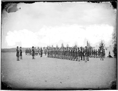 Infantry company at Parade Rest - NARA - 524699 photo