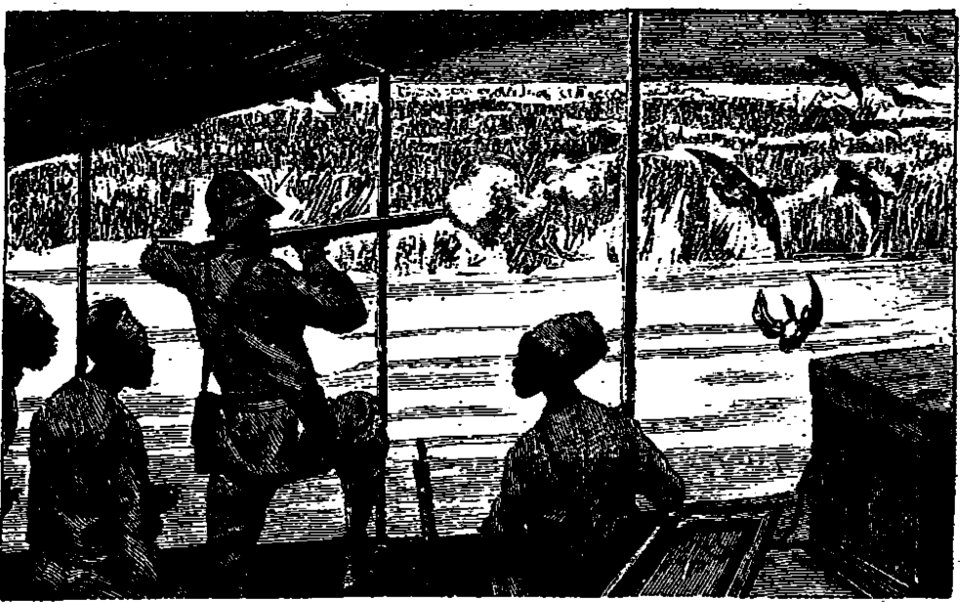 Ivoi - Les grands explorateurs. La Mission Marchand (page 165 crop)