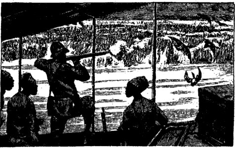 Ivoi - Les grands explorateurs. La Mission Marchand (page 165 crop)