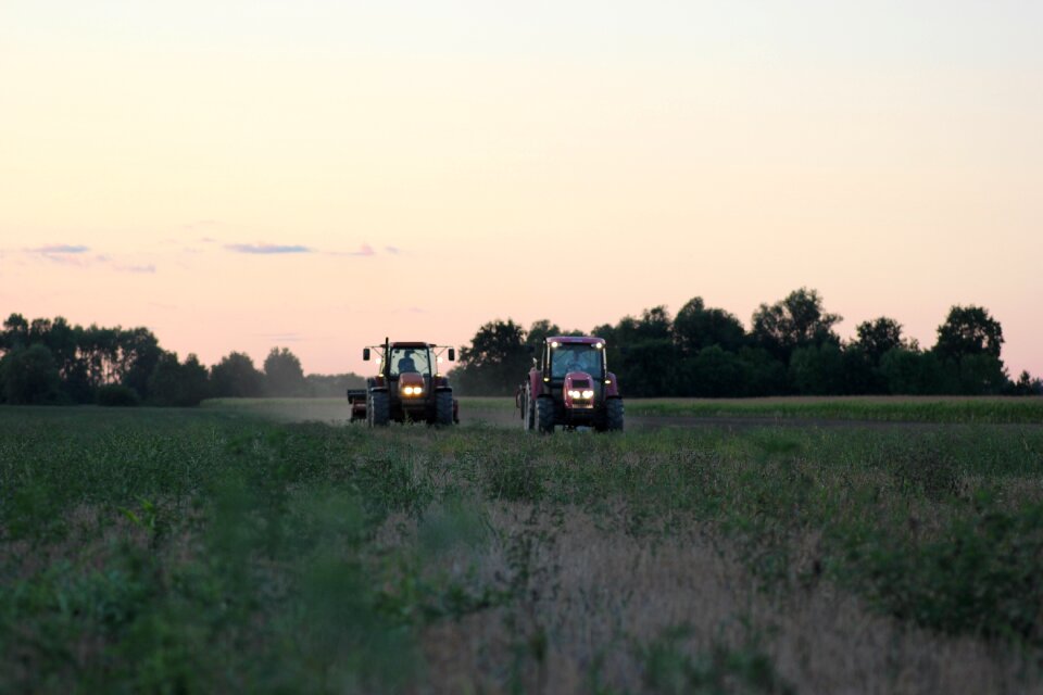 Agriculture field rural