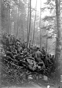 Infanterie wartet im Wald auf ihren Einsatz - CH-BAR - 3239094