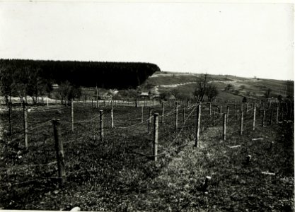 Infanteriestellung westlich Rosulna, 8. Mai 1917. (BildID 15591012)