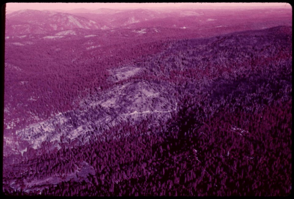 Infra-red-aerial-of-burn-area-shows-extensive-damage-to-vegetation-reddish-areas-indicate-green-trees-spared-from-the-destruction-september-1973 7153189969 o