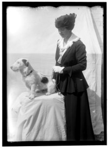 INGALLS, GLADYS. MRS. ARNOLD ROBERTSON. DOG SHOW LCCN2016866523