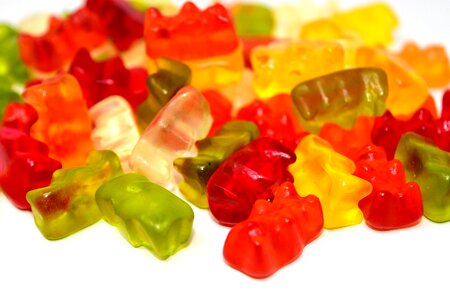 Gummi bears delicious bear