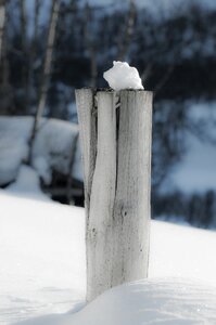 Snow winter outdoor