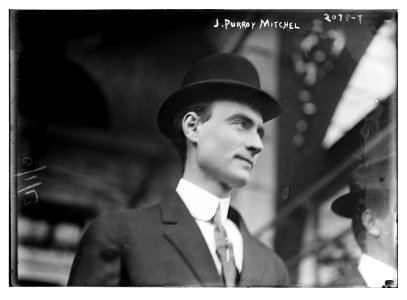 J. Purroy Mitchel LCCN2014688518