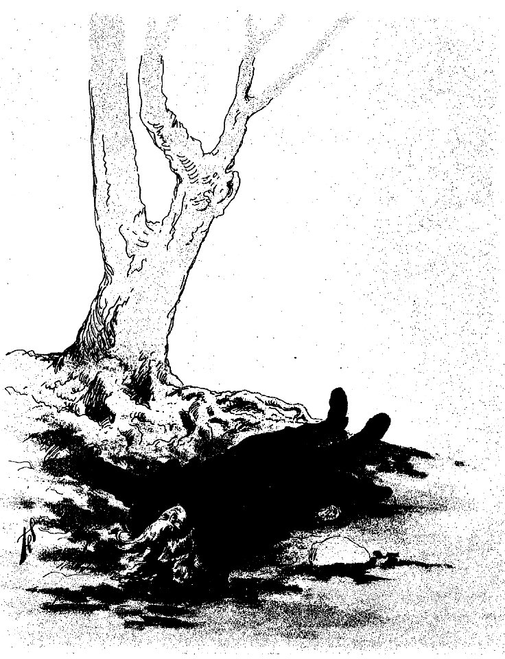 Ivoi - La Mort de l’Aigle (page 129 crop)
