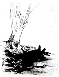 Ivoi - La Mort de l’Aigle (page 129 crop)
